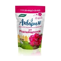 akvarin-dlya-golubiki