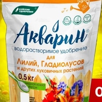 akvarin-dlya-lilij,-gladiolusov-i-drugix-lukovichnyix-rastenij